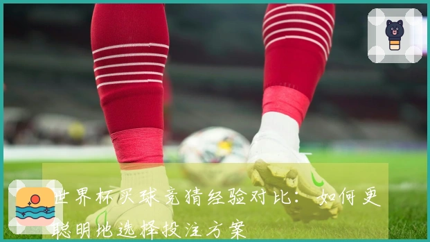 世界杯买球竞猜经验对比：如何更聪明地选择投注方案