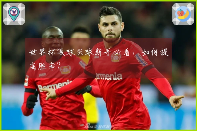 世界杯滚球买球新手必看，如何提高胜率？