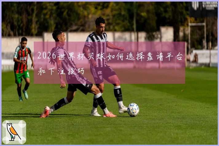 2026世界杯买球如何选择靠谱平台和下注技巧