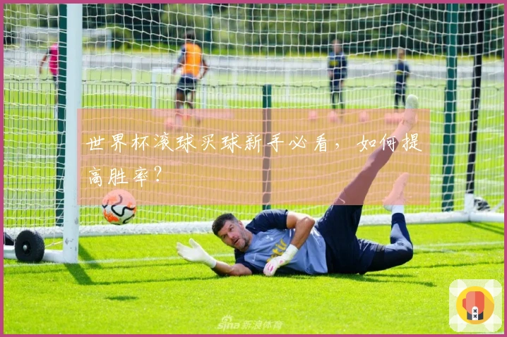 世界杯滚球买球新手必看，如何提高胜率？