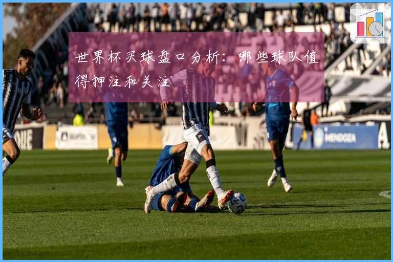 世界杯买球盘口分析：哪些球队值得押注和关注