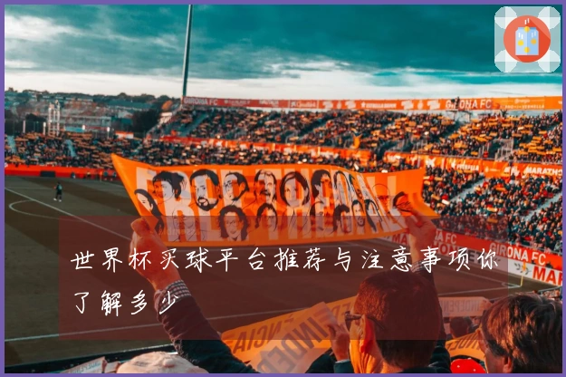世界杯买球平台推荐与注意事项你了解多少