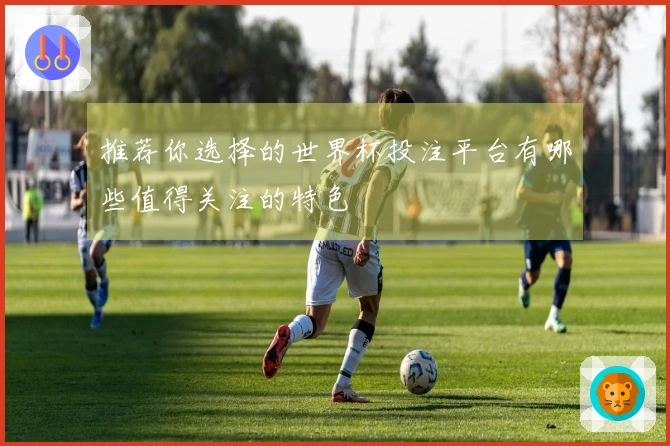 推荐你选择的世界杯投注平台有哪些值得关注的特色