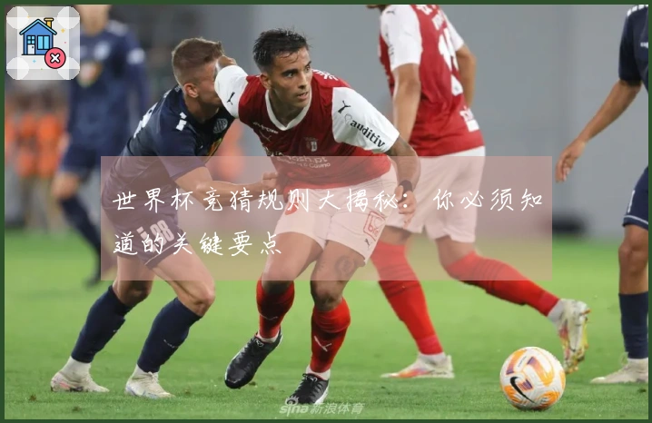 世界杯竞猜规则大揭秘：你必须知道的关键要点