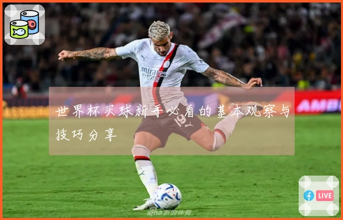 世界杯买球新手必看的基本观察与技巧分享