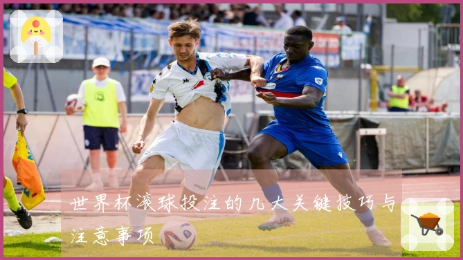 世界杯滚球投注的几大关键技巧与注意事项