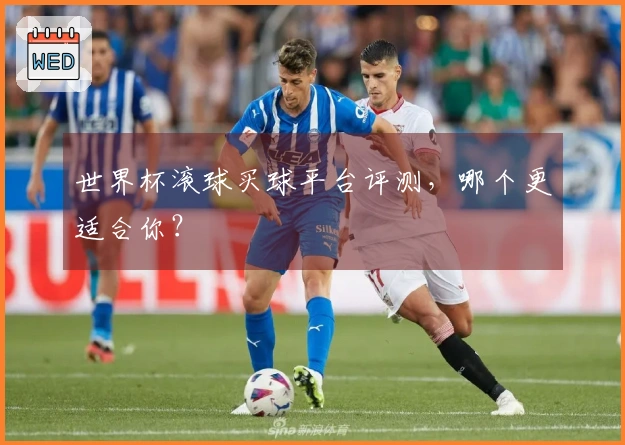 世界杯滚球买球平台评测，哪个更适合你？
