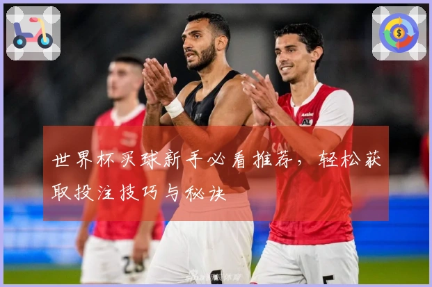 世界杯买球新手必看推荐，轻松获取投注技巧与秘诀